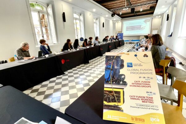 La científica malagueña Sehila M. González, referente de la Energía de Fusión, organiza un encuentro con expertos de todo el mundo